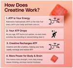 Thrive Creatine Gummies